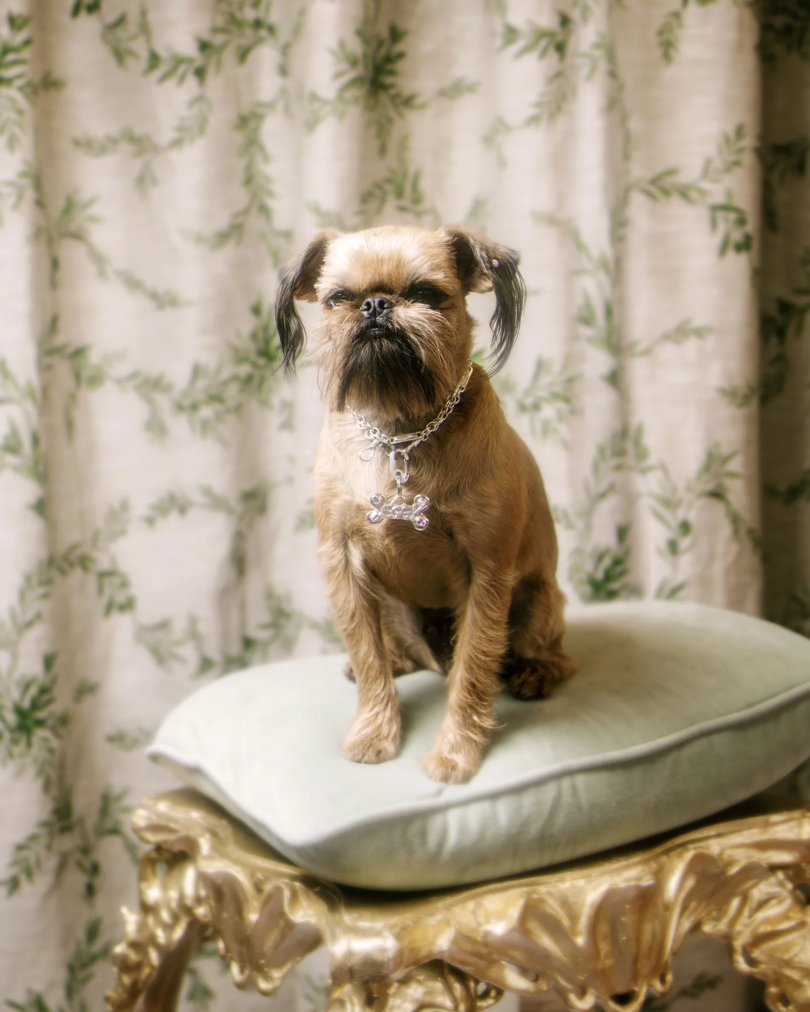 Bedazzled Bone Pet Tag - Image 3